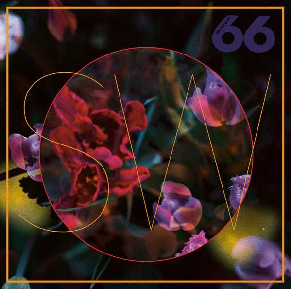 R-19099435-1623703302-5311