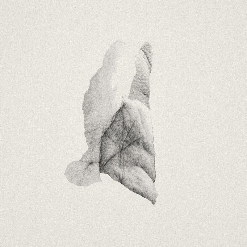 1000x1000.800x800