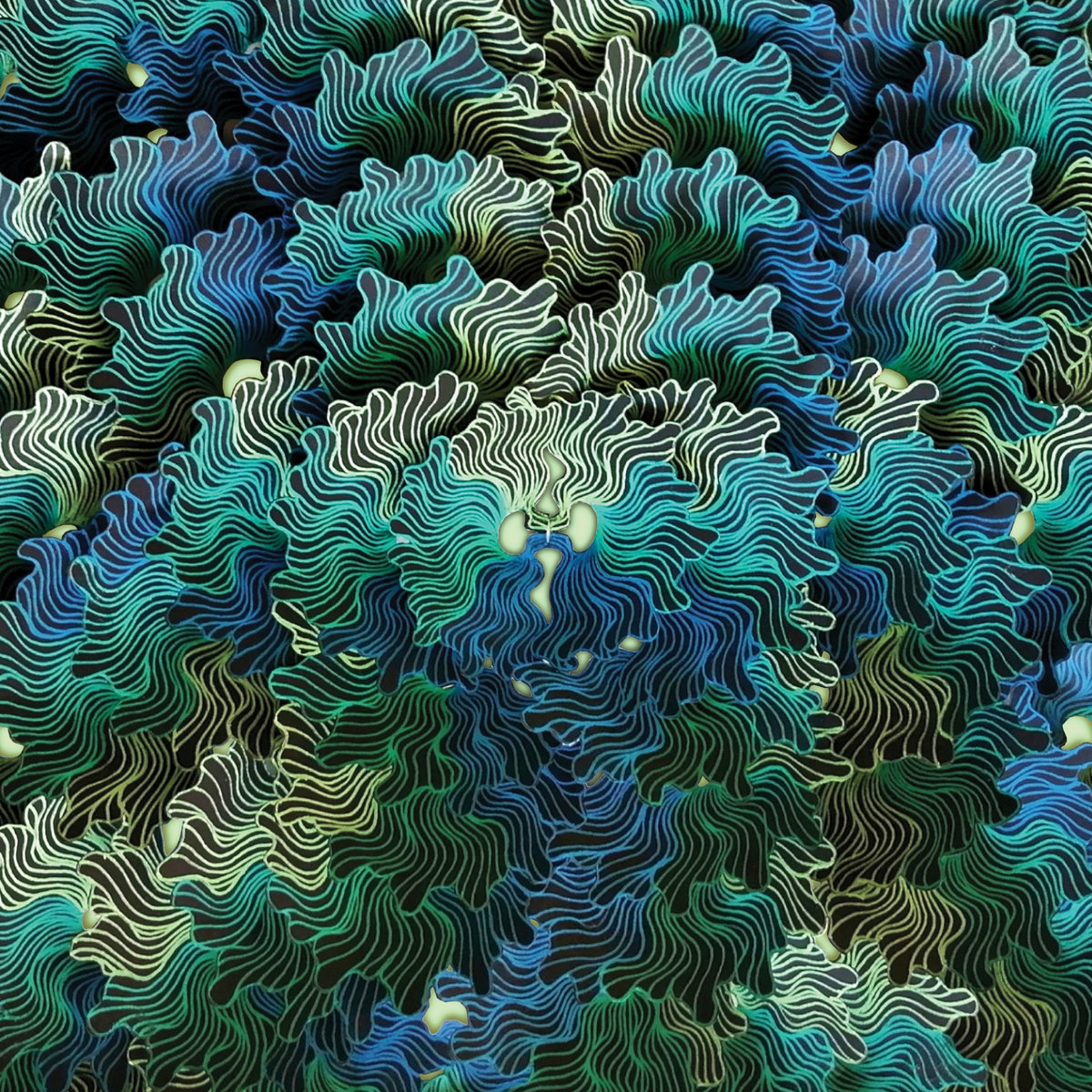 a2628120234_10