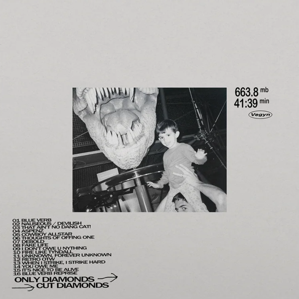 VEGYN-OnlyDiamondsCutDiamonds_Repress_-2LP-180gBlackVinyl_DEC12